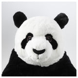 Peluche, Panda